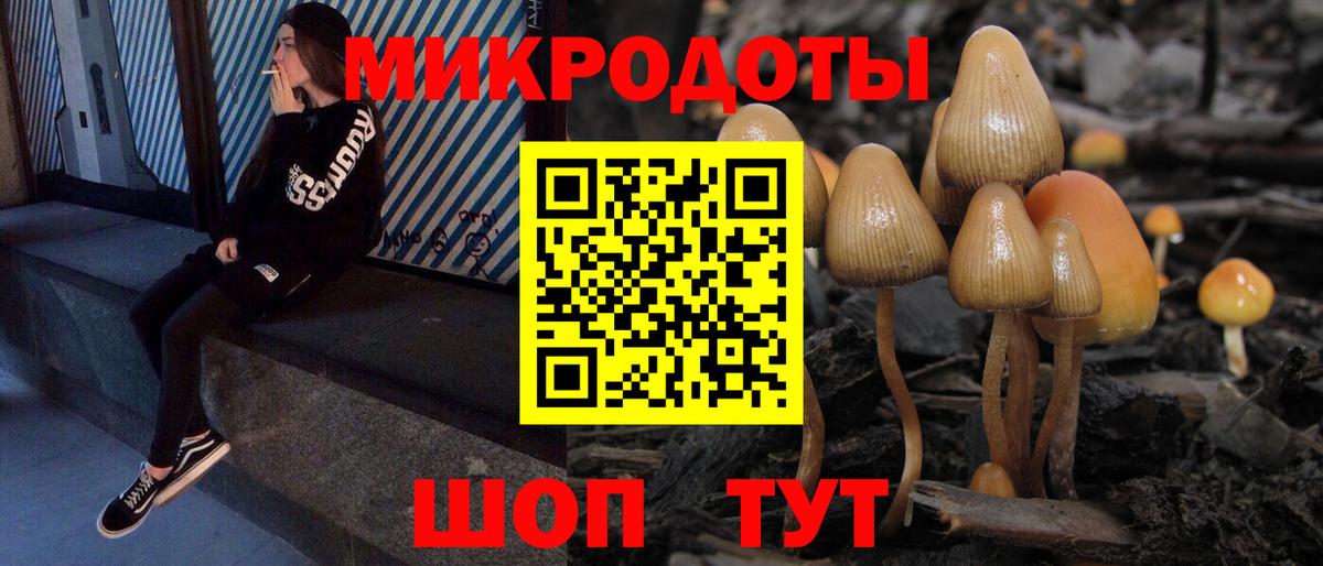 Псилоцибиновые грибы мухоморы  Вход с VPN  Псилоцибиновые грибы GOLDEN TEACHER  Сердобск 