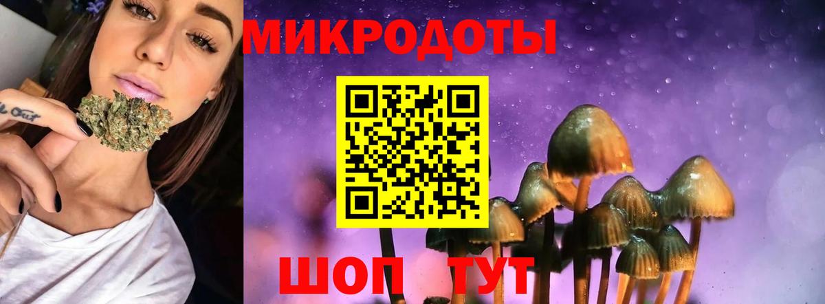 Галлюциногенные грибы Magic Shrooms Сердобск